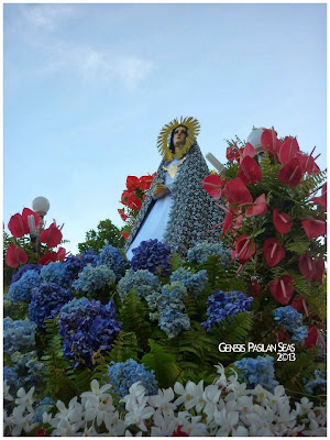 The Carozza of the Mater Dolorosa decorated with Red Anthuriums and Blue Hydrangeas