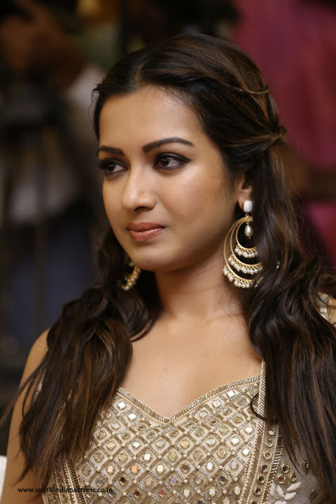 Catherine Tresa at Gautham Nanda success meet
