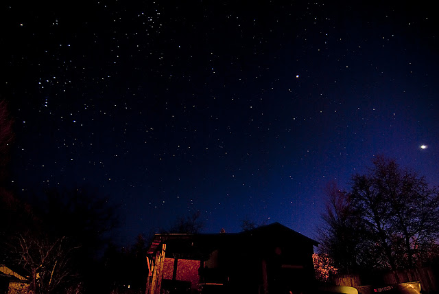 365 - A Daily Photo Blog for 2021: Starry Night