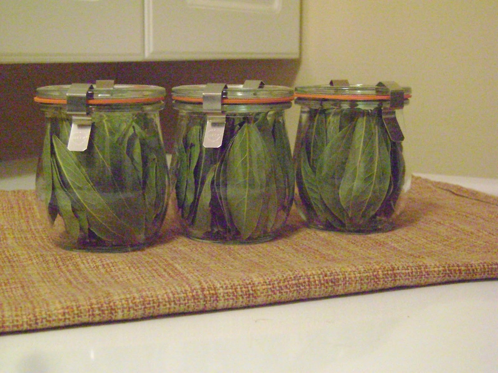 How to Dry Bay Leaves mysavoryspoon
