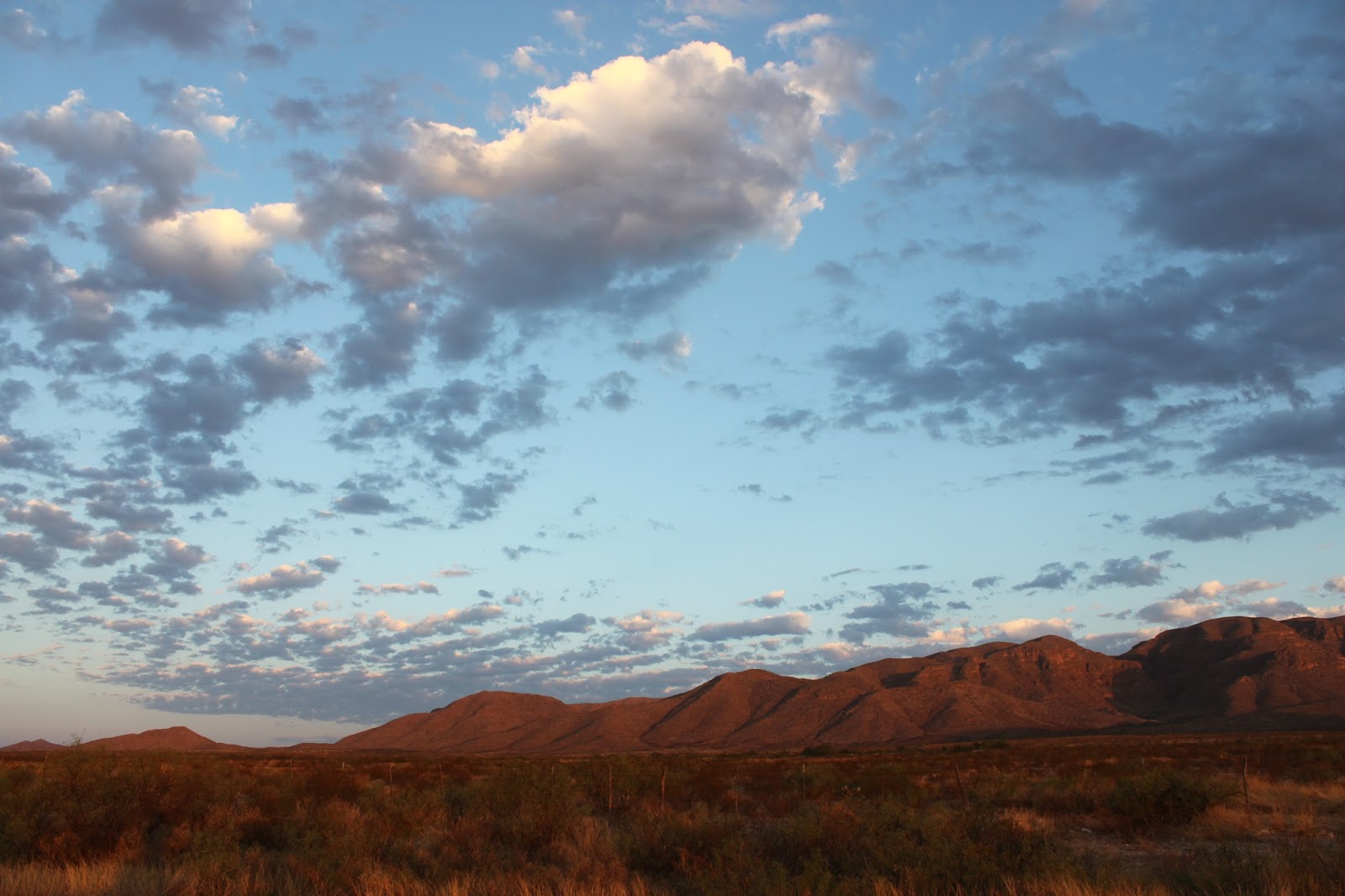 Texas Mountain Trail Daily Photo View from Hwy 54