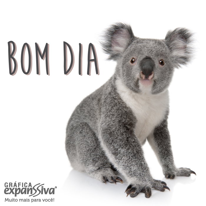 mensagem de bom dia engraçada facebook mensagem de bom dia engraçada facebook