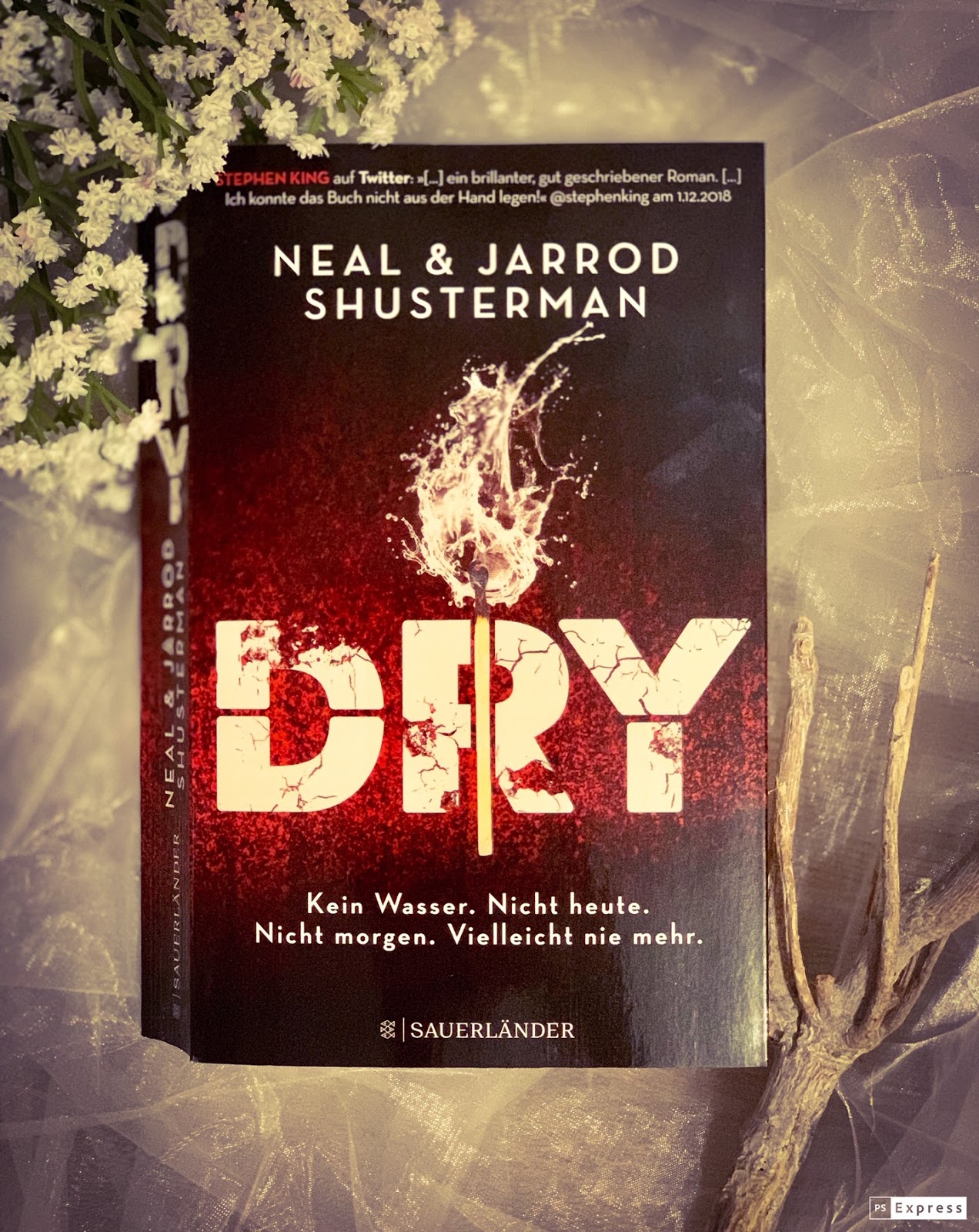 Buchfee Dystopie, Fantasy und mehr Rezension "Dry" von Neal