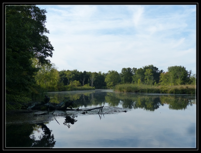 Fish Creek on Saratoga Lake