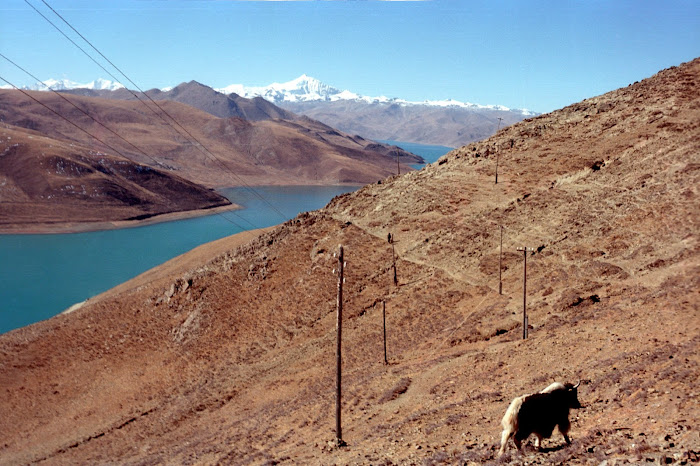 Tibet, Yamzho Yumco, Kamba La, © L. Gigout, 1990
