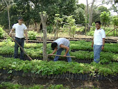 Olimpiada de Ambiental