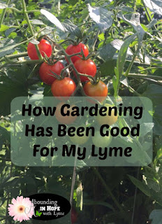 Gardening, Health, Lyme