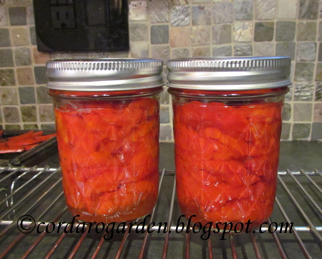 The Gardener of Eden September 2012