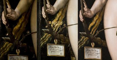 Detalle del cabello y la rama del árbol de Eva, detalle del cuadro Eva de Alberto Durero