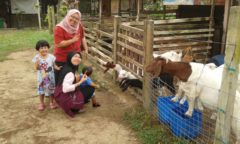 My Journey Through Motherhood Rabbit Fun Land, Semenyih