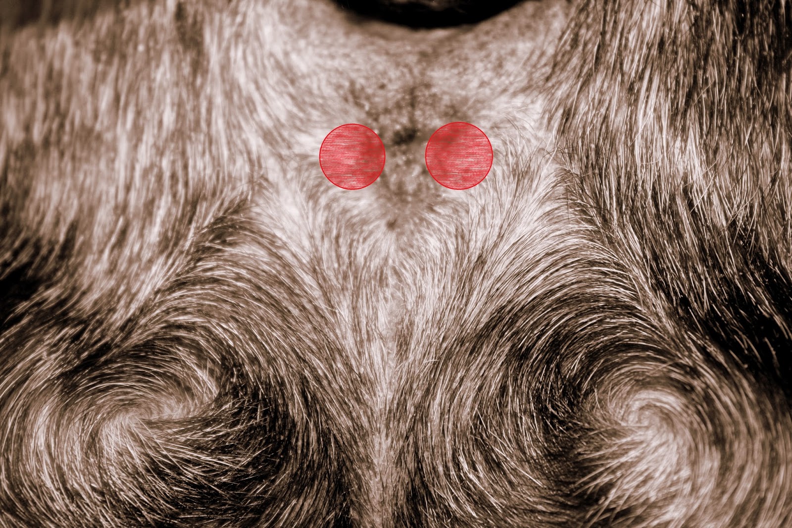 Best anal fissure prescription drugs