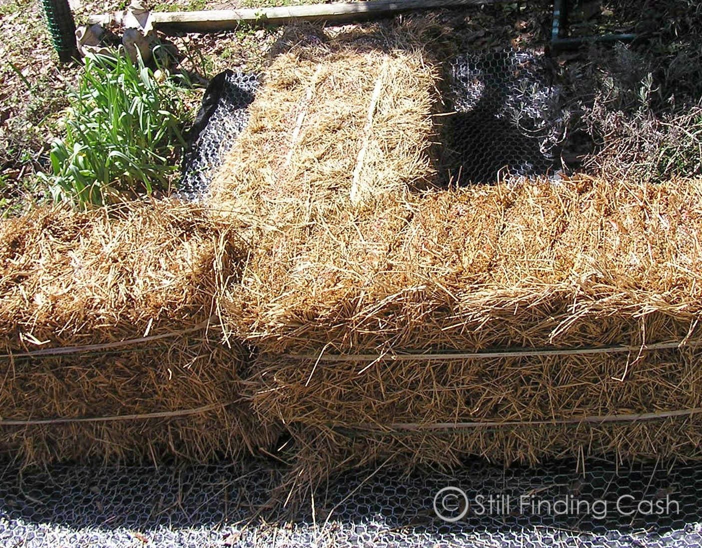 Still Finding Cash HAY BALE GARDEN Photo HowTo