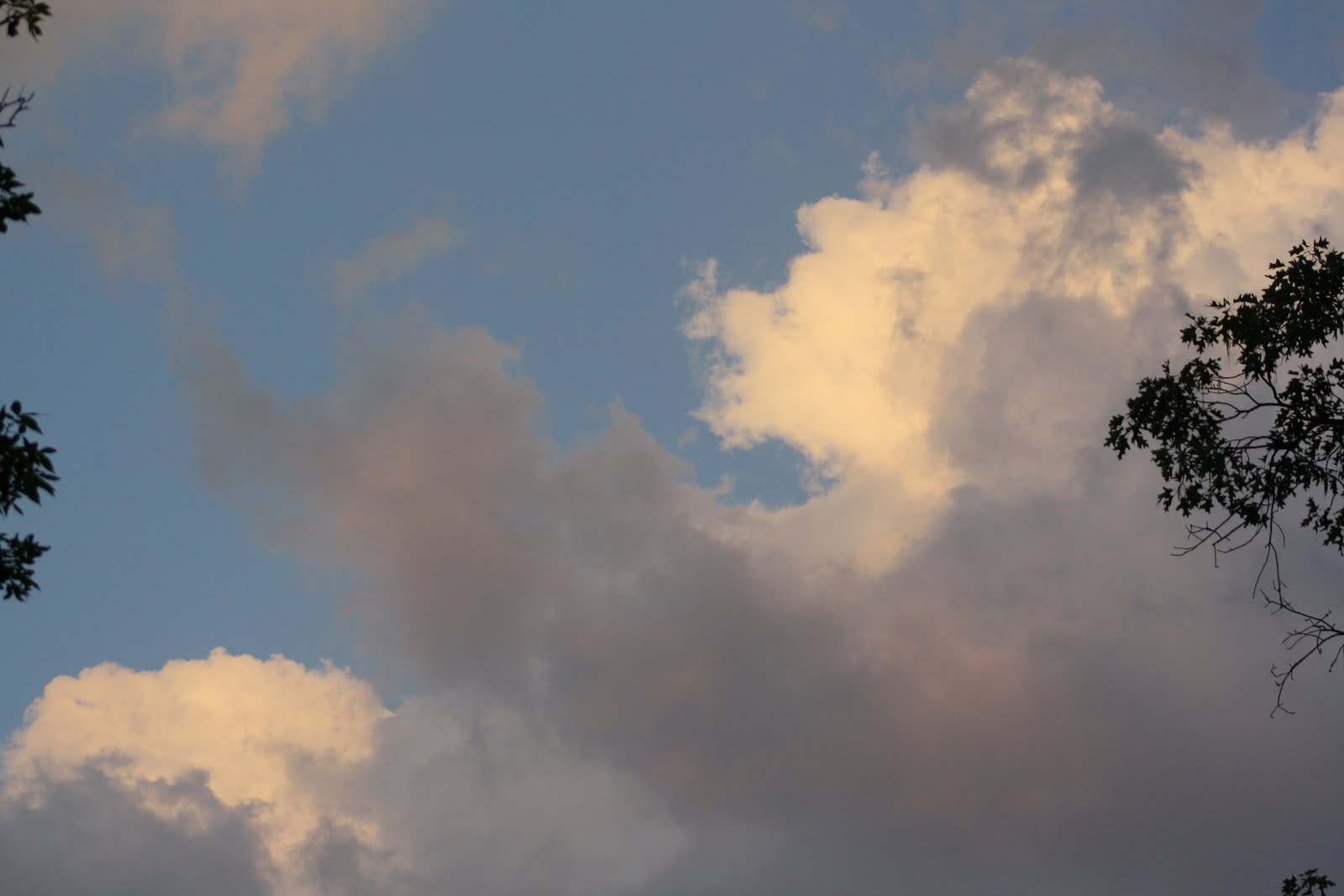 Laura Brownlee's Natural Expressions Cool Cloud Formations