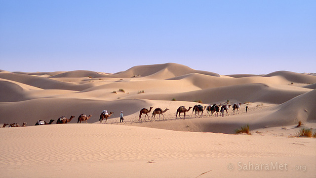 A trip to desert essay picture