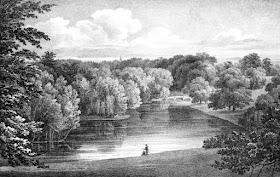 View from the Gothic Temple at Pains Hill  from Select Illustrations of the County of Surrey by Prosser (1828)
