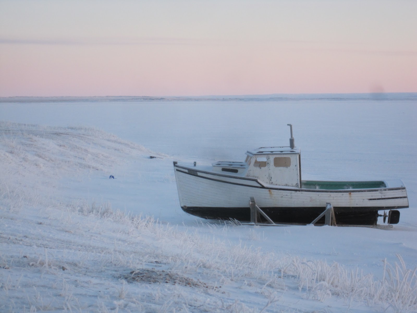 Lisel's Fabulous Arctic Adventure A Visit to the High Arctic