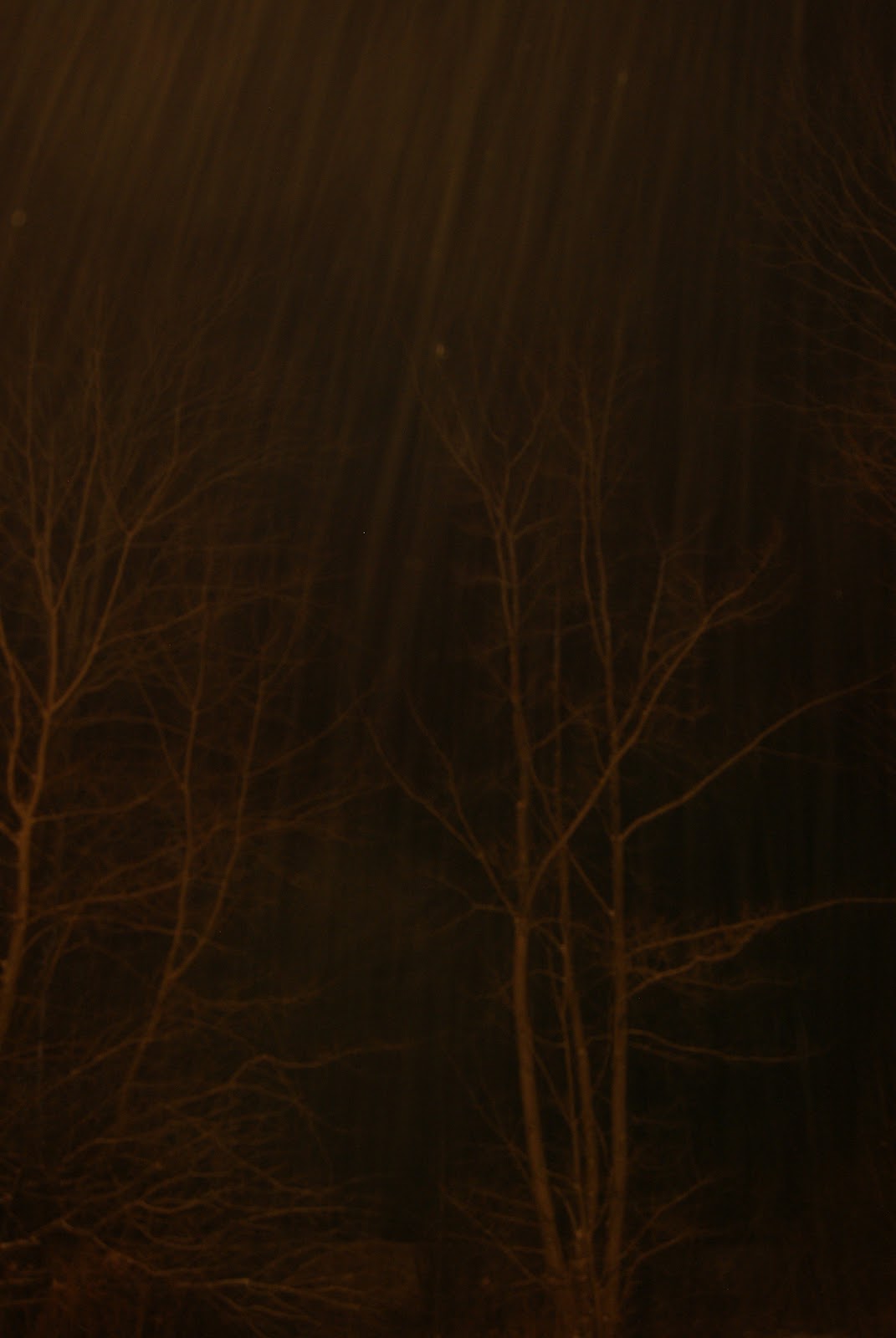 there is flour on my shoes: softly falling stillness; or how did winter ...