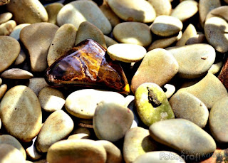 Stone for garden decoration