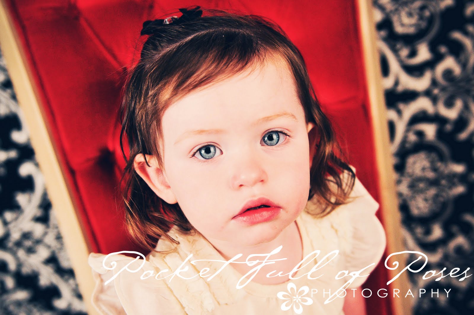 Pocket Full of Poses Photography Shulte