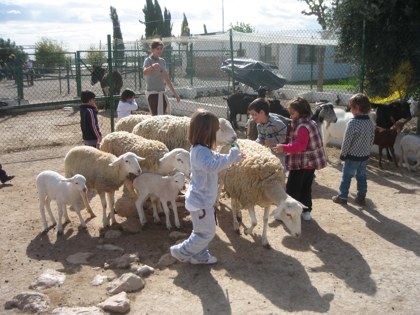 Los animalitos de la granja: Tras nuestra visita a la granja-escuela