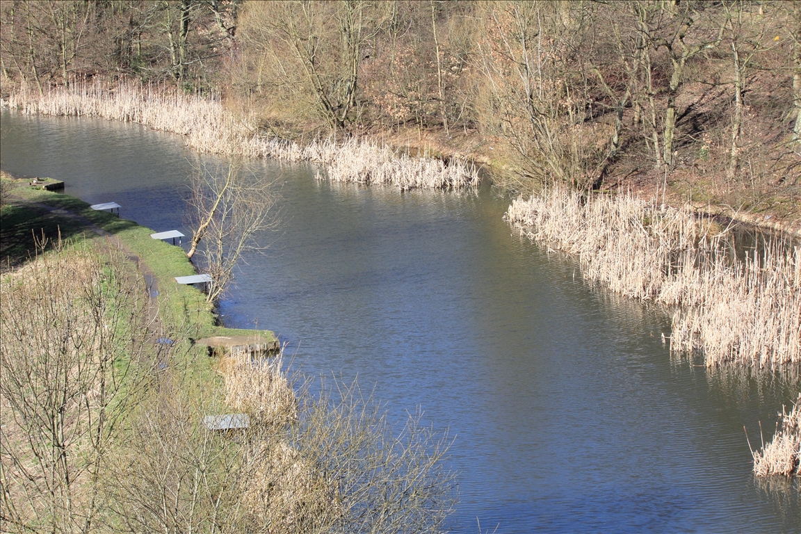 Harriman Dam Wildlife Cleckheaton Winter weather