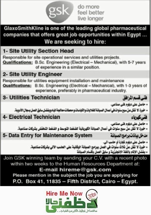 Who job opportunities in egypt