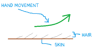 Diagram: hand movement over and up, hair direction, skin
