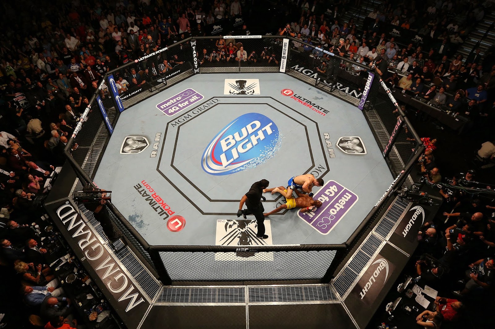 The Top 5 Global MMA Organizations Rangking 2016