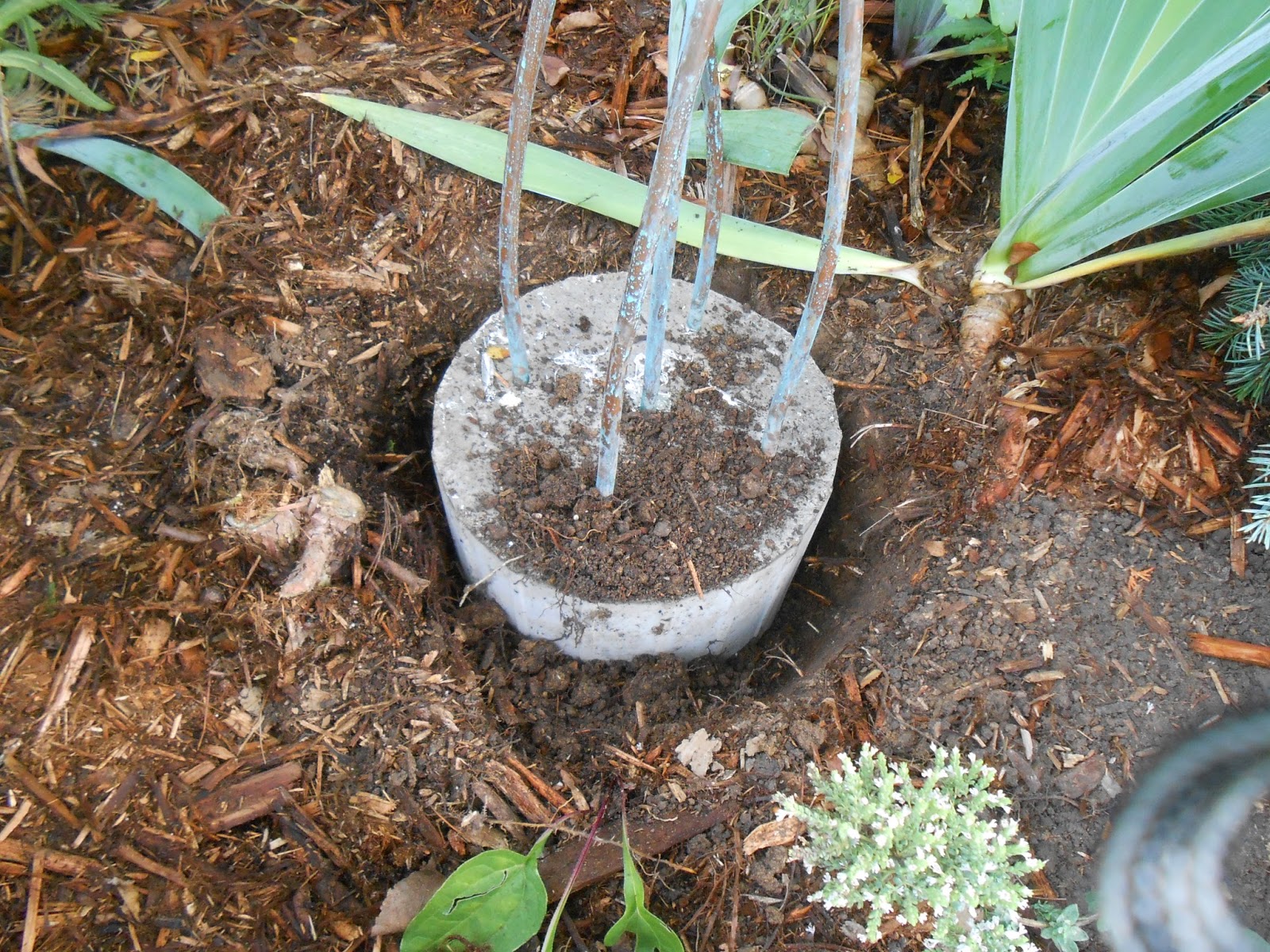 Sproutsandstuff DIY Copper Garden Art from Copper Tubing