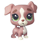 Littlest Pet Shop Pet Pawsabilities Calla Boxton (#129) Pet Littlest Pet Shop Pet Pawsabilities Calla Boxton (#129) Pet