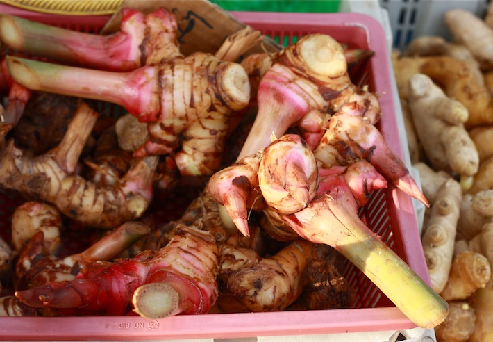 young galangal for sale at morning market in asia