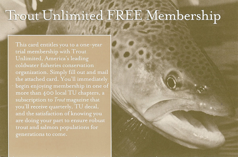 Mad River Outfitters August 2015