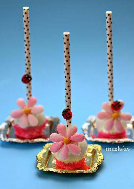 These Easy Candy Flower Cake Pops are perfect for your garden party with your little fairies. They would be so fun for birthday party favors.