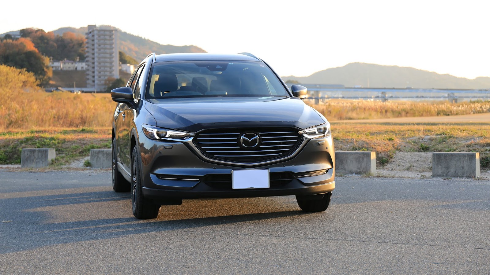 cx8 cx-8 バグガード オーストラリアマツダ純正 未使用品