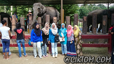 Ok tebu dah abis.. So, kita posing maut sekali depan gajah