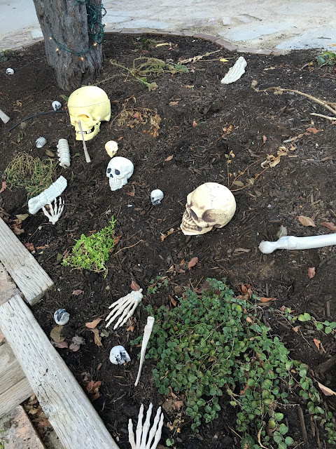 Outdoor Halloween party deocrations, Pirate party