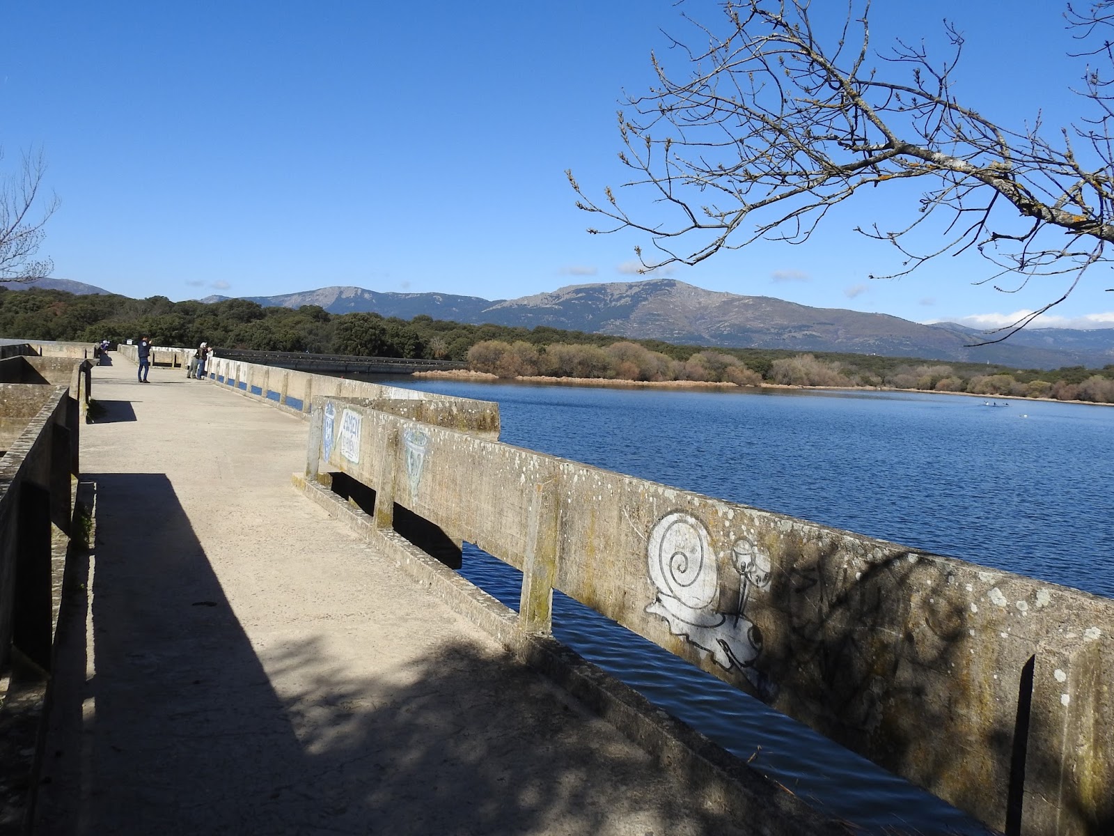 Pajareando por Quijorna. Embalse de Los Arroyos.