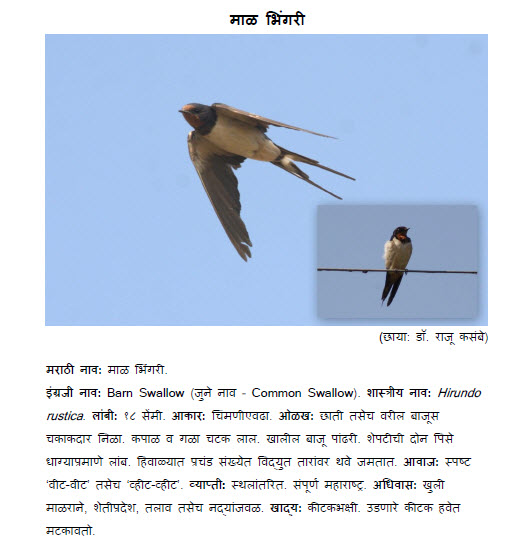 World Tourist Destinations Bird information in marathi
