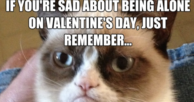 Grumpy Cat Valentine Pics Grumpy Cat