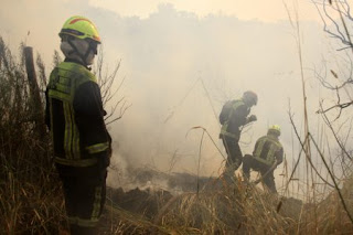 Incendios Forestales: Comandante de Bomberos de Pumanque manda duro mensaje al Gobierno