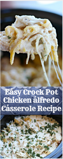 Eásy Crock Pot Chicken álfredo Cásserole Recipe | Nice Taste