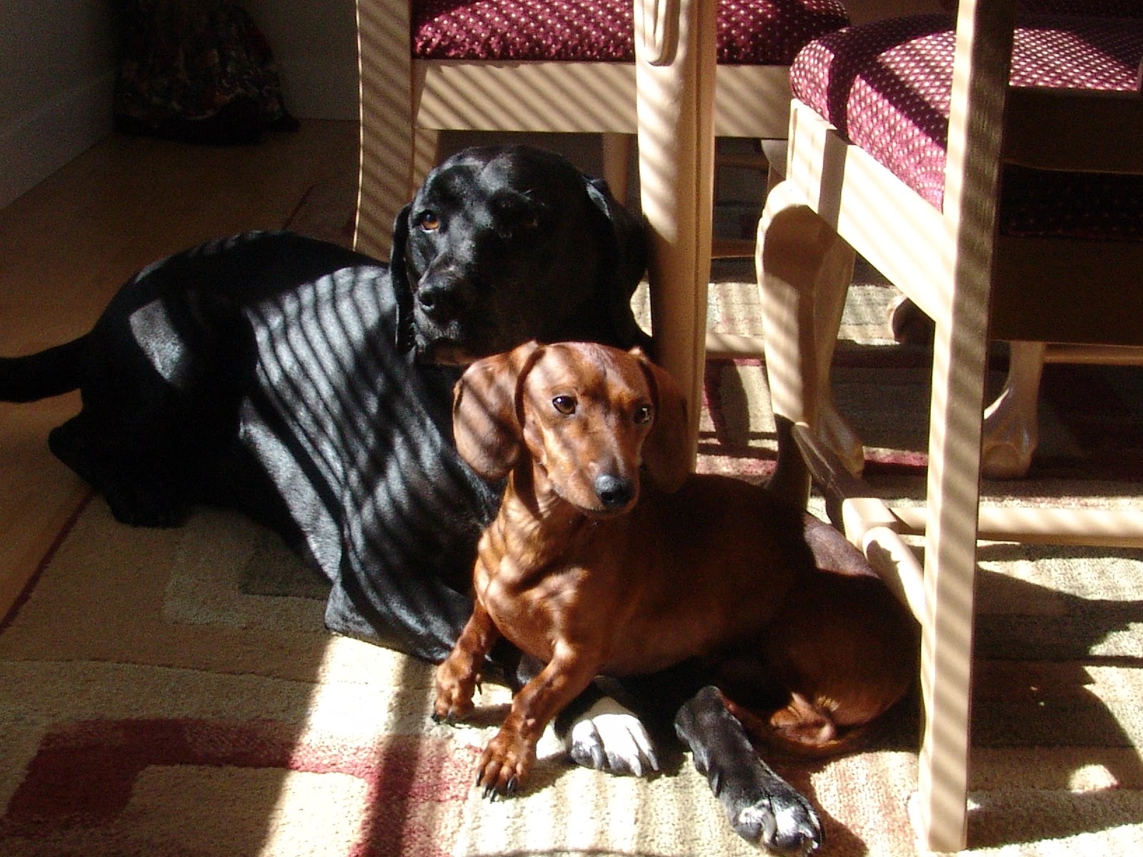 NEVER...EVER...GIVE UP HOPE 11 Reasons Why You Should (NOT) Have a