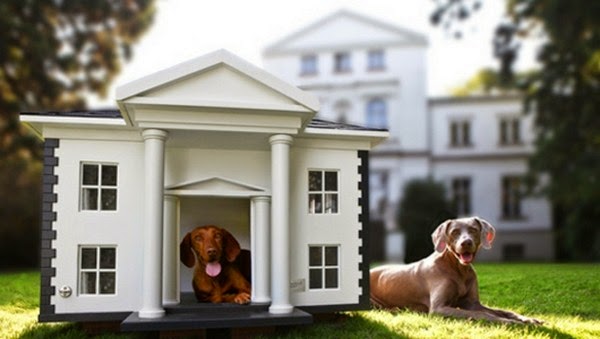 Luxury Dog House And Bed Of Natural Materials