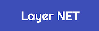 Layer Net