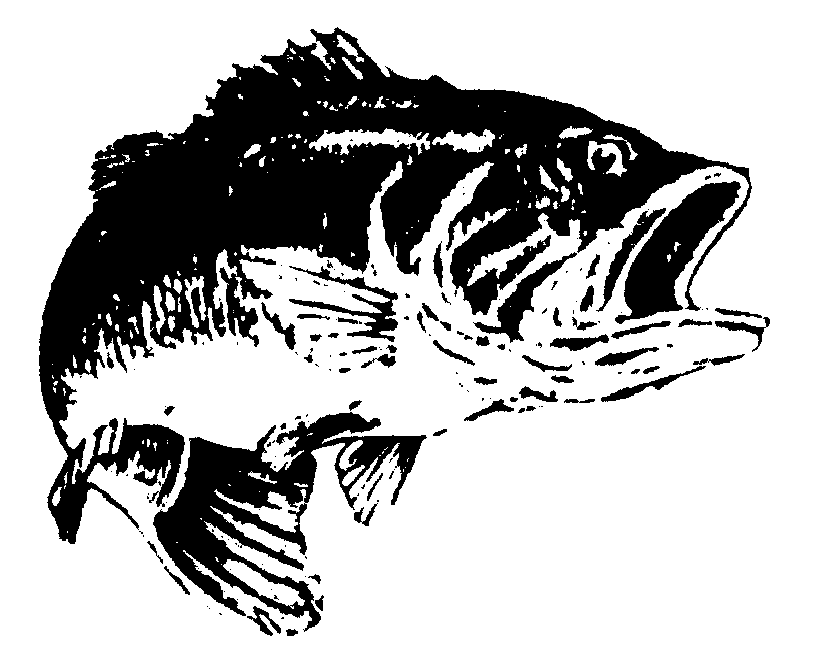 fish logos clip art - photo #35