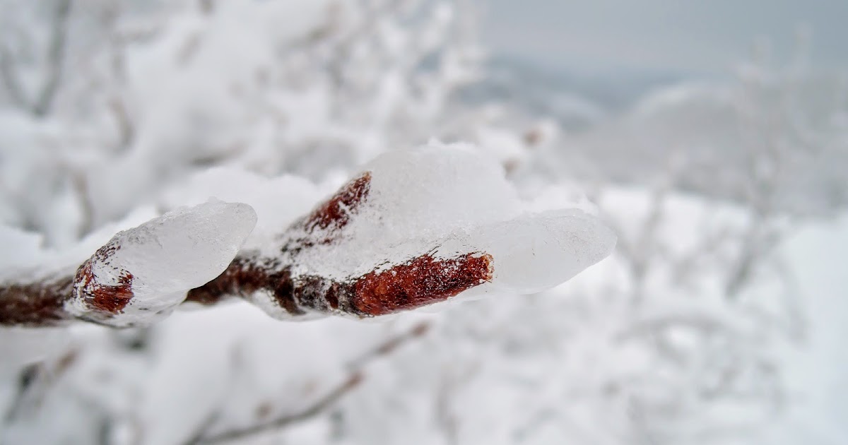 Piccoli Sentieri Voglia di vivere