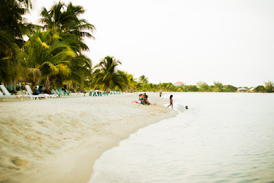 Remax Vip Belize: THIS VIEW....they share the beach seaside.