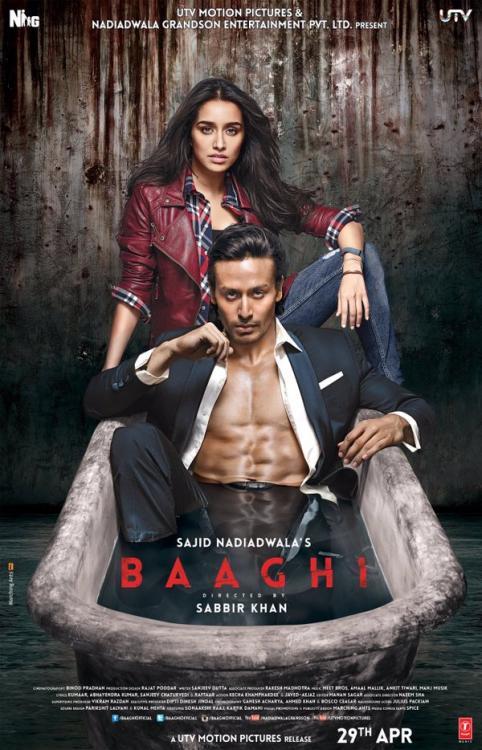 BAAGHI 2016 FULL BOLLYWOOD MOVIE DOWNLOAD | Films Mania