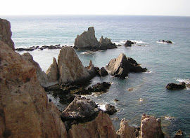 Arrecife de las Sirenas (Cabo de Gata-Almería)