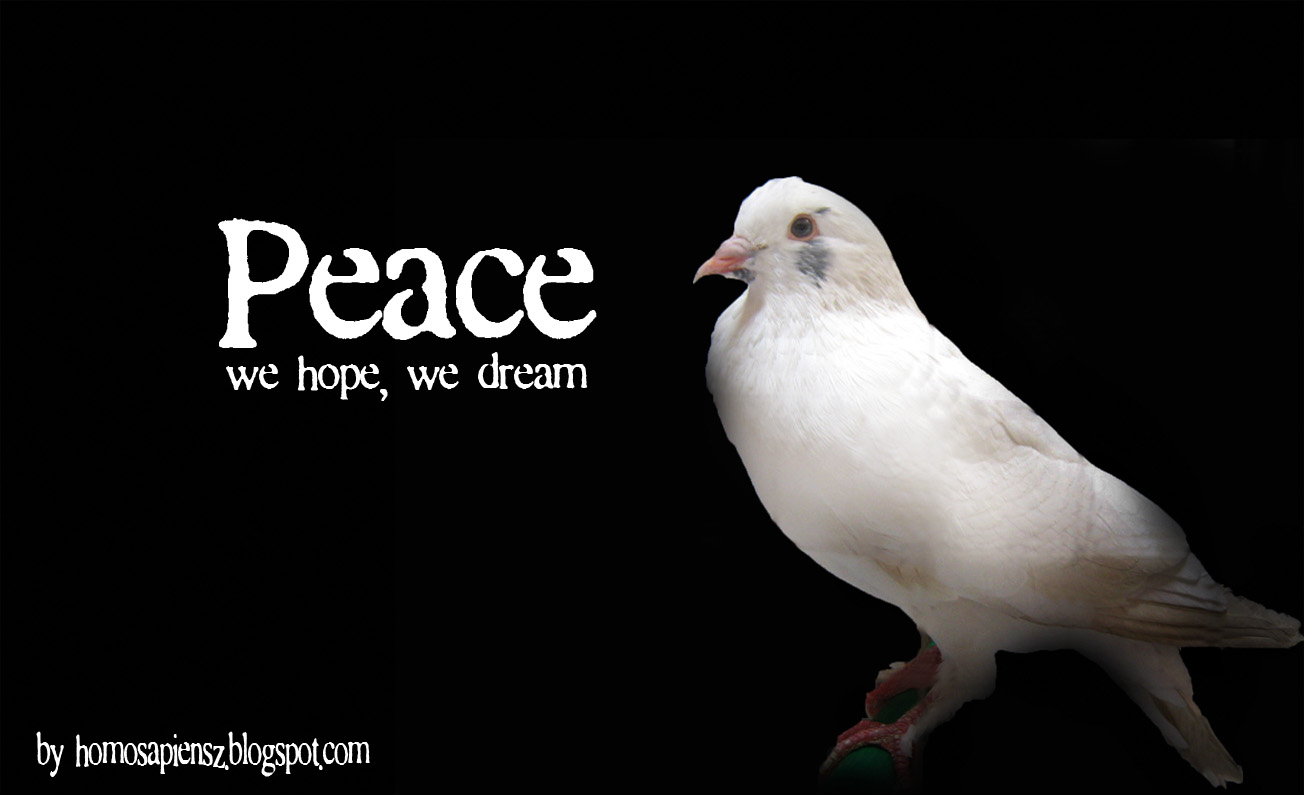 http://3.bp.blogspot.com/-tP8q4pbXzVU/Tpocv-KHXxI/AAAAAAAAAOo/G4PqNrG4J40/s1600/peace+pigeon+copy.jpg